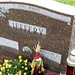 Jeffery Dougherty Photo 7