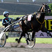Johnny Trotter Photo 23