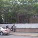 Carole Start Photo 11