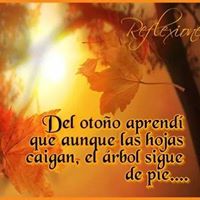 Sandra Rojas Photo 34