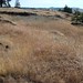Catherine Meadows Photo 6