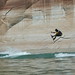 Kelley Powell Photo 22