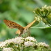 Judith Quick Photo 14