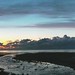 Dawn Havens Photo 8