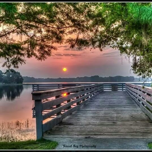 Vicki Adams Photo 18