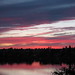 Michael Willner Photo 18
