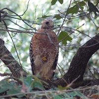 Sue Larson Photo 34