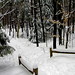 Bruce Winters Photo 38