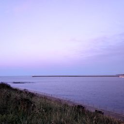 Robert Riddell Photo 33