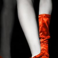 Elizabeth Daniels Photo 19