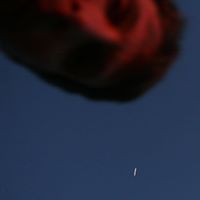 Tom Hill Photo 22
