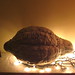Jennifer Boyles Photo 11