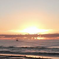 Deborah Frantz Photo 19