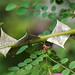 Rosa Sharp Photo 9