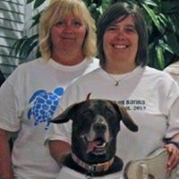 Stacey Weber Photo 20