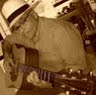 Alvaro Pacheco Photo 29