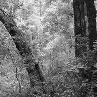 Don Upton Photo 27