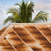 Thomas Roof Photo 22