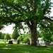 Mary Halls Photo 5