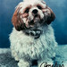 Cynthia Massey Photo 27