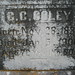 Debra Coley Photo 14