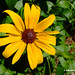 Susan Lumpkin Photo 24