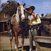 Roger Roy Photo 35