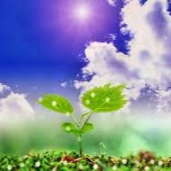 Inderjit Kaur Photo 33