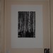 Alice Burns Photo 16