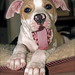 Lucy Mo Photo 14
