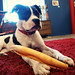 Betty Lowe Photo 21