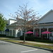 Linda Carpenter Photo 8