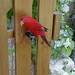 Ruby Gates Photo 15
