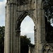 Tabitha Abbey Photo 10