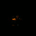 Robert Crowder Photo 35