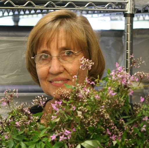 Edith Smith Photo 23