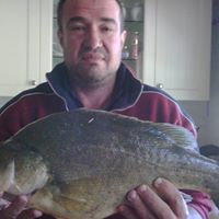 William Handley Photo 21
