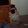 Joshua Borden Photo 29