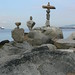 Terry Robison Photo 17
