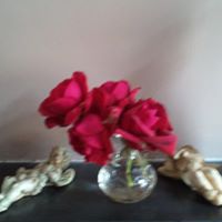 Susan Gooch Photo 10