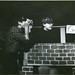 David Rodman Photo 11