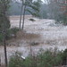 Susan Meek Photo 22