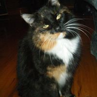 Norma Peck Photo 7