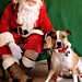 Rhonda Williams Photo 12