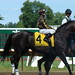 Ben Perkins Photo 32