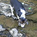 Henry Caldwell Photo 25