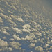 Carlos Claros Photo 31