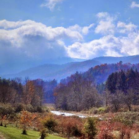 Allen Gibbs Photo 8