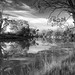 Dawn Eckert Photo 23