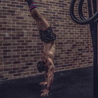 Steve Whiteman Photo 15